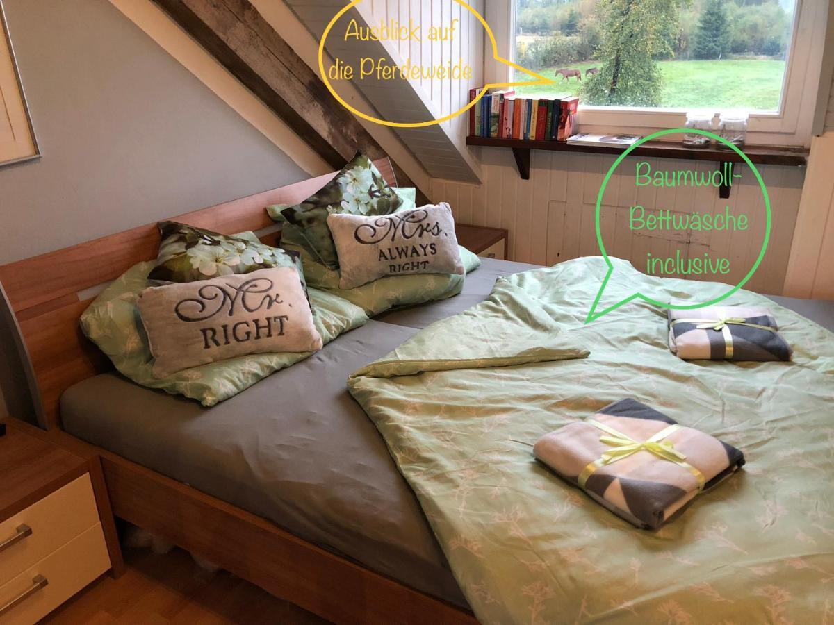 Studio - Grosses Wohn-Schlafzimmer - Dachterrasse - Kamin - Kuche - Hohes Venn - Monschau - Eifel - Hunde Willkommen Beim Hof Vierzehnender Exterior foto