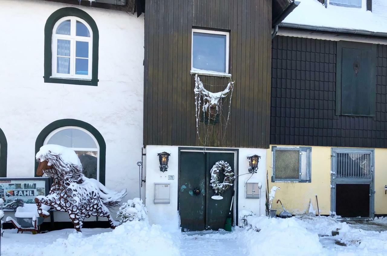 Studio - Grosses Wohn-Schlafzimmer - Dachterrasse - Kamin - Kuche - Hohes Venn - Monschau - Eifel - Hunde Willkommen Beim Hof Vierzehnender Exterior foto