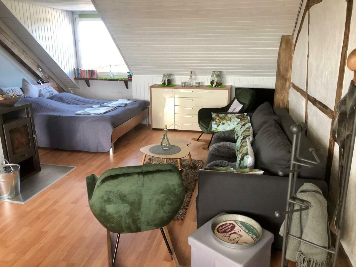 Studio - Grosses Wohn-Schlafzimmer - Dachterrasse - Kamin - Kuche - Hohes Venn - Monschau - Eifel - Hunde Willkommen Beim Hof Vierzehnender Exterior foto